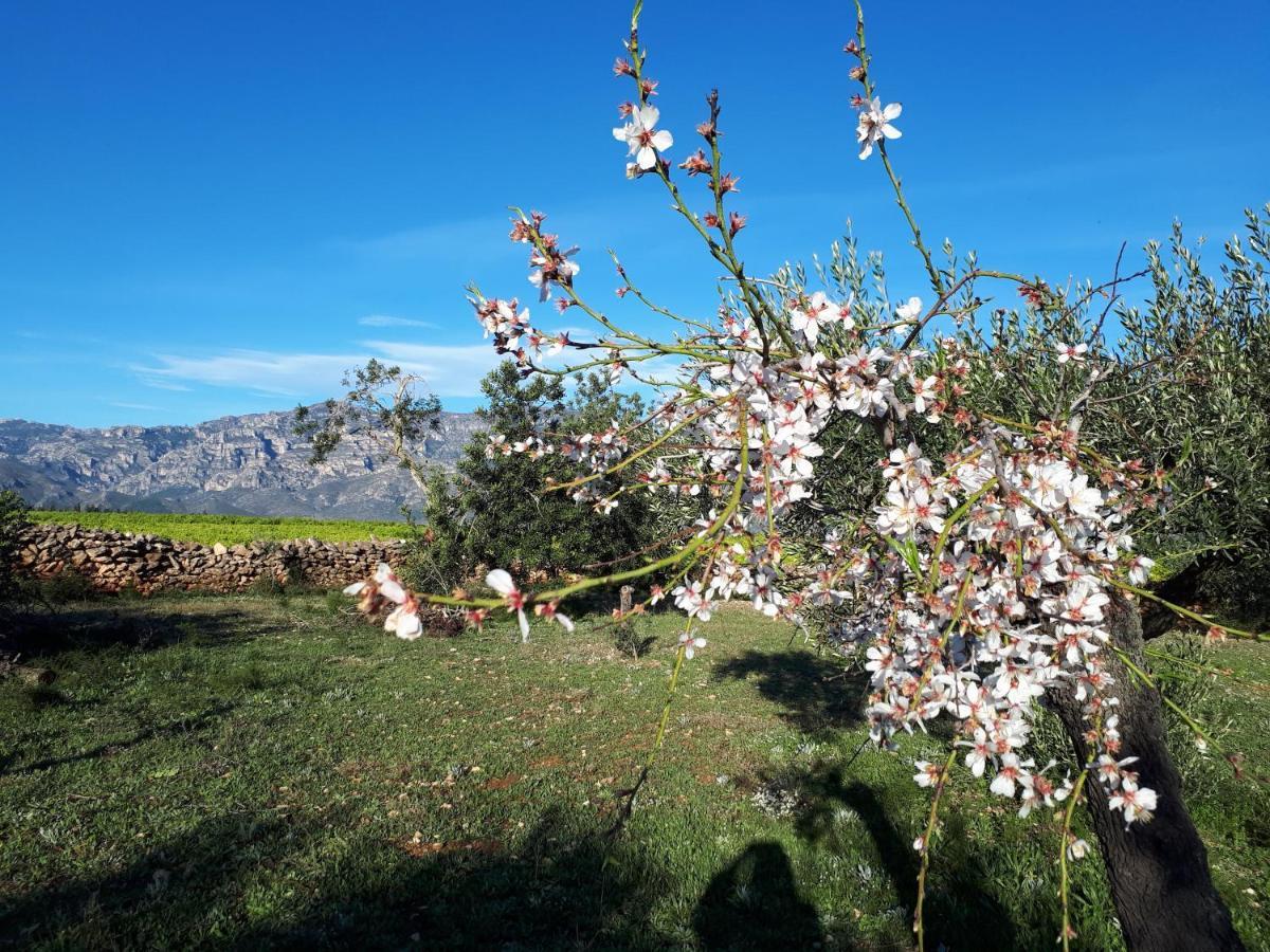 Casa De Bello Tortosa Zewnętrze zdjęcie